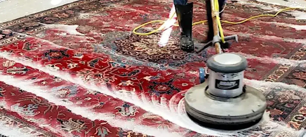 Rotary machine cleaning a red oriental rug
