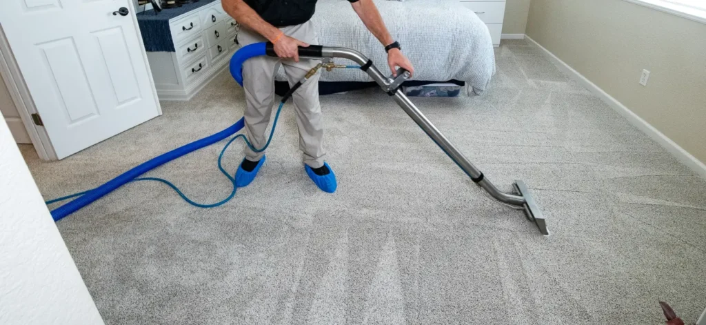 Carpet being cleaned in a family home